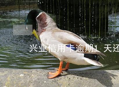 兴业信用卡逾期1天还款后果 兴业信用卡逾期1天还款后果