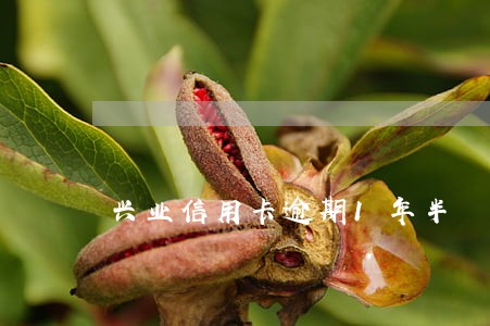 兴业信用卡逾期1年半 兴业信用卡逾期1年半