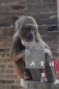 兴业信用卡逾期1要紧吗 兴业信用卡逾期1要紧吗