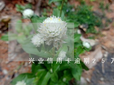 兴业信用卡逾期25万 兴业信用卡逾期25万