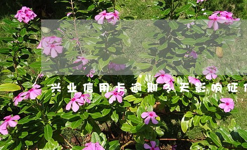 兴业信用卡逾期3天影响征信吗