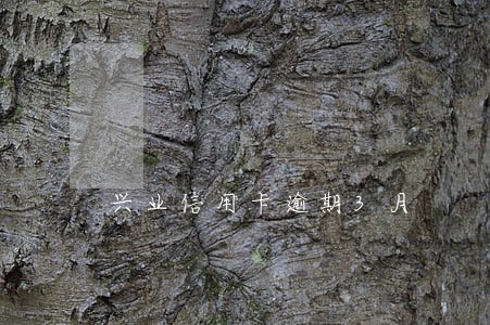 兴业信用卡逾期3月 兴业信用卡逾期3月