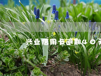 兴业信用卡逾期40天