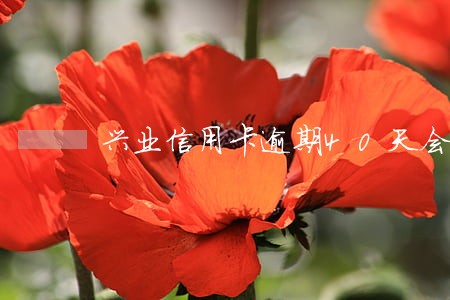 兴业信用卡逾期40天会停卡吗 兴业信用卡逾期40天会停卡吗