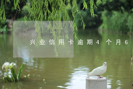 兴业信用卡逾期4个月6万元 兴业信用卡逾期4个月6万元