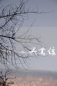 兴业信用卡逾期4个月了