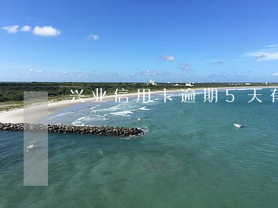 兴业信用卡逾期5天有影响吗