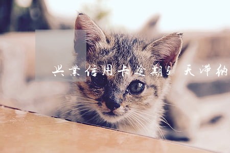 兴业信用卡逾期5天滞纳金 兴业信用卡逾期5天滞纳金