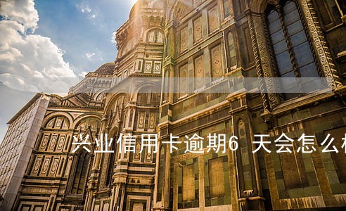 兴业信用卡逾期6天会怎么样 兴业信用卡逾期6天会怎么样