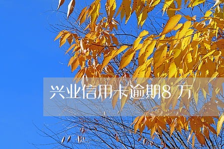 兴业信用卡逾期8万