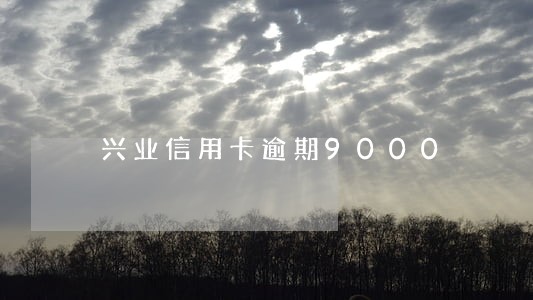 兴业信用卡逾期9000 兴业信用卡逾期9000