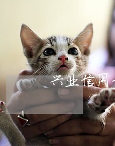兴业信用卡逾期一万多 兴业信用卡逾期一万多
