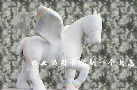 兴业信用卡逾期一个月怎么办 兴业信用卡逾期一个月怎么办