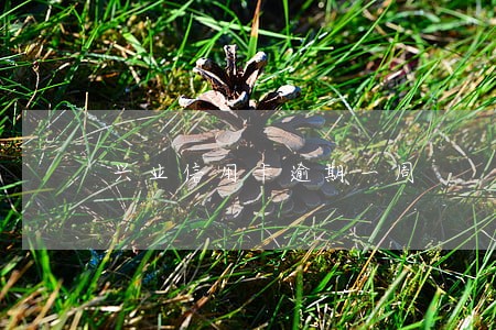 兴业信用卡逾期一周