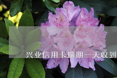 兴业信用卡逾期一天收到短信 兴业信用卡逾期一天收到短信