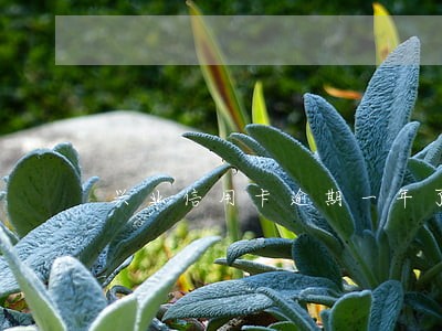 兴业信用卡逾期一年了怎么协商 兴业信用卡逾期一年了怎么协商