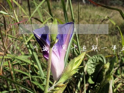 兴业信用卡逾期一年五千二 兴业信用卡逾期一年五千二