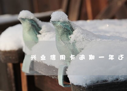 兴业信用卡逾期一年还可以用吗 兴业信用卡逾期一年还可以用吗