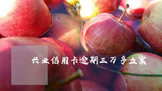 兴业信用卡逾期三万多立案 兴业信用卡逾期三万多立案