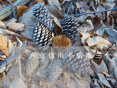 兴业信用卡逾期三个多月了 兴业信用卡逾期三个多月了