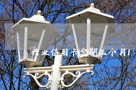 兴业信用卡逾期三个月1万元 兴业信用卡逾期三个月1万元