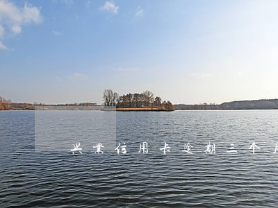 兴业信用卡逾期三个月该怎么协商