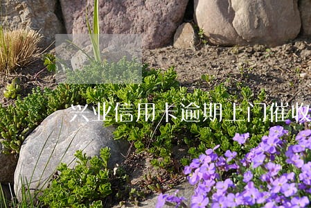 兴业信用卡逾期上门催收 兴业信用卡逾期上门催收