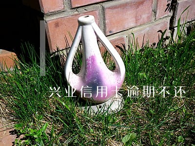 兴业信用卡逾期不还 兴业信用卡逾期不还