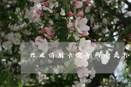 兴业信用卡逾期两个是外包催收吗 兴业信用卡逾期两个是外包催收吗