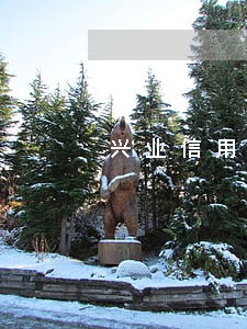兴业信用卡逾期两个月了怎么办 兴业信用卡逾期两个月了怎么办