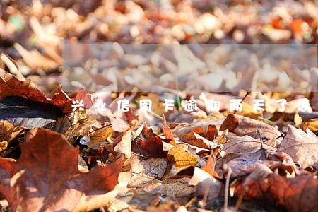 兴业信用卡逾期两天了怎么办 兴业信用卡逾期两天了怎么办