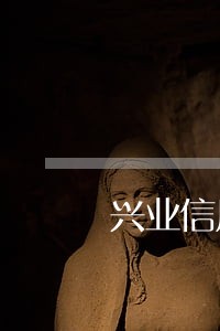 兴业信用卡逾期两年了怎么办