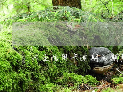 兴业信用卡逾期两期严重吗 兴业信用卡逾期两期严重吗