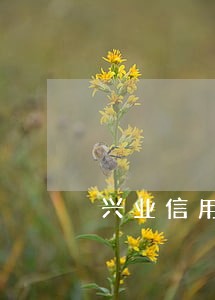 兴业信用卡逾期两次暴力催款 兴业信用卡逾期两次暴力催款