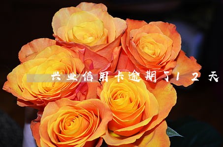 兴业信用卡逾期了12天 兴业信用卡逾期了12天