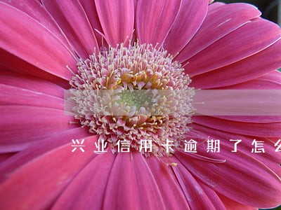 兴业信用卡逾期了怎么样协商 兴业信用卡逾期了怎么样协商