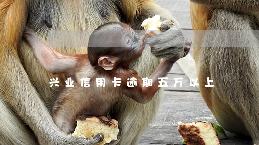 兴业信用卡逾期五万以上 兴业信用卡逾期五万以上