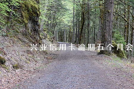 兴业信用卡逾期五个月会上门吗 兴业信用卡逾期五个月会上门吗