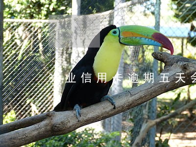 兴业信用卡逾期五天会不会上征信 兴业信用卡逾期五天会不会上征信