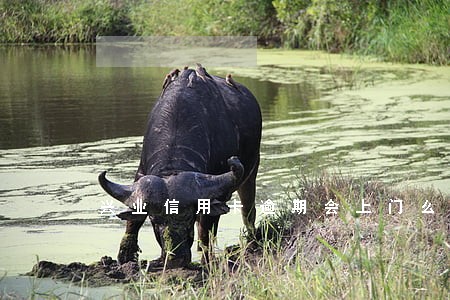 兴业信用卡逾期会上门么 兴业信用卡逾期会上门么