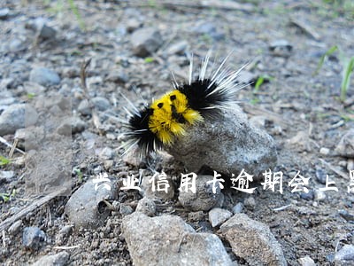 兴业信用卡逾期会上黑名单