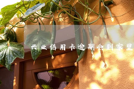 兴业信用卡逾期会到家里去吗 兴业信用卡逾期会到家里去吗