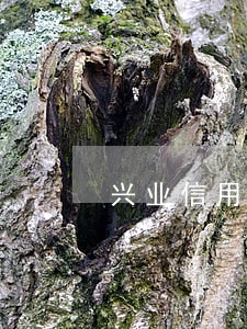 兴业信用卡逾期会在户籍地报案吗