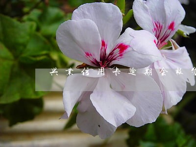 兴业信用卡逾期会报警 兴业信用卡逾期会报警