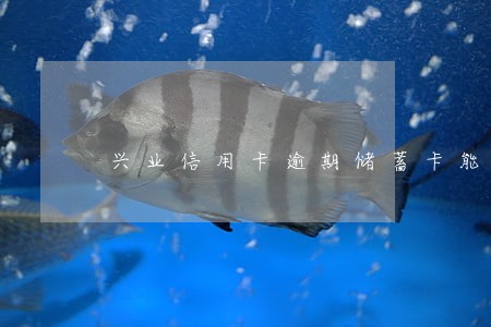 兴业信用卡逾期储蓄卡能用吗 兴业信用卡逾期储蓄卡能用吗