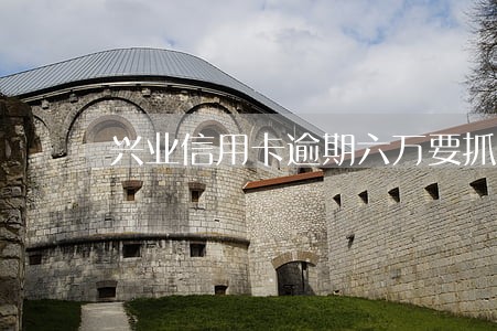 兴业信用卡逾期六万要抓我