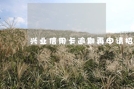 兴业信用卡逾期再申请招商