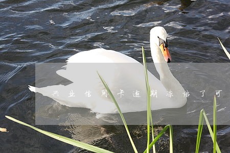 兴业信用卡逾期冻结了可以解冻吗 兴业信用卡逾期冻结了可以解冻吗