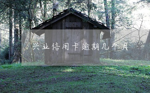 兴业信用卡逾期几个月 兴业信用卡逾期几个月
