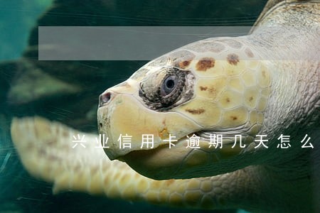 兴业信用卡逾期几天怎么办 兴业信用卡逾期几天怎么办